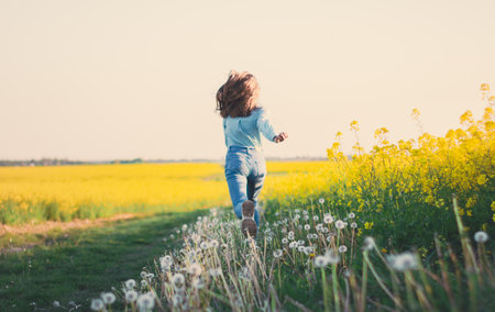 A back view of an excited young woman happily walking in a yellow endless meadow at sunsetの写真素材