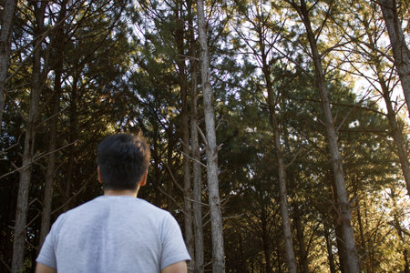 A rear view of a man standing in front of tall trees in a forest