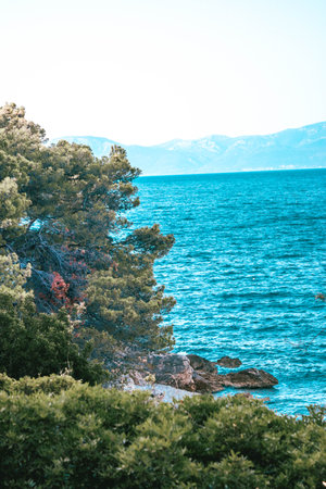 A vertical shot of a blue sea with coastline trees and mountains on the background under a clear skyの写真素材