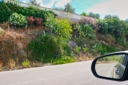 typical road in the Gargano Mountains with Mediterranean vegetation. Oleanders and cactiの写真素材