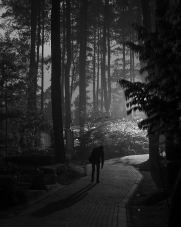 A silhouette of a depressed man in a creepy paの写真素材