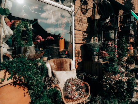 The chair in the gardenの写真素材