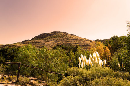 A landscape view of Bahia Blanca hill under a pink sky during the sunset