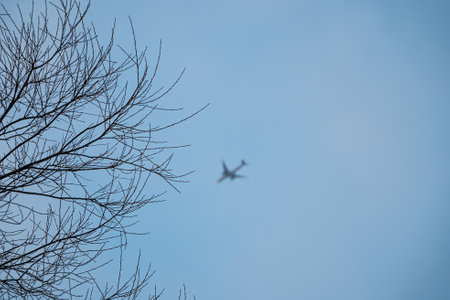 The leafless tree branches framing the out of focus airplane in a blue skyの写真素材
