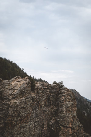 A mesmerizing view of rocky and forested mountains under the blue skyの写真素材