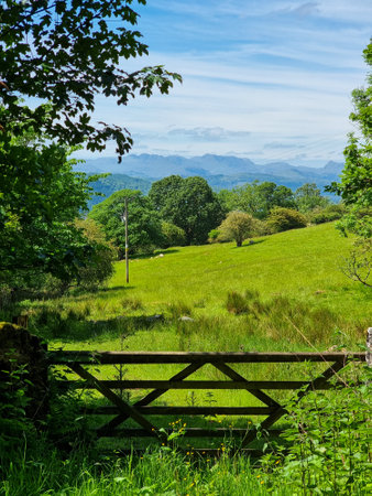Classic british countryside scene with fencepostの写真素材