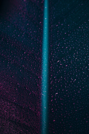 Leaf full of water droplets under colorful LED light