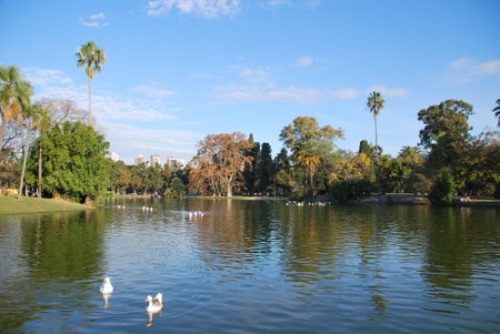 A beautiful view of Bosques de Palermo public park Argentinaの写真素材