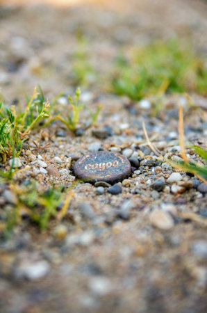 A selective focus shot of a bottle cap on the ground