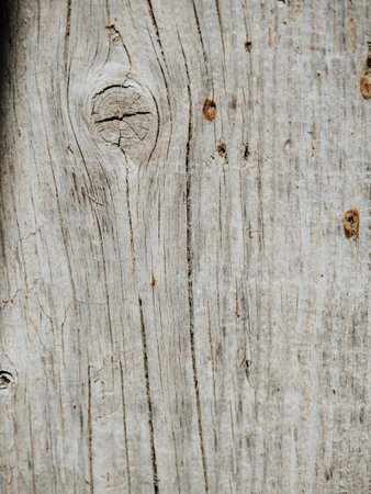 A vertical macro shot of a tree bark surface with cracks