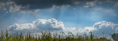 A view of fluffy clouds in the dramatic sky over the countryside