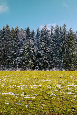 A vertical shot of a landscape. On a sunny cloudy day.の写真素材