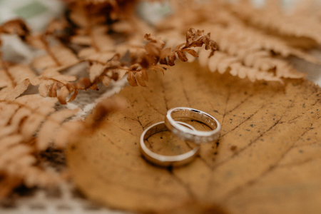 A closeup of beautiful wedding rings on leavesの写真素材