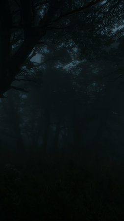 The silhouette of trees in the dark and foggy forestの写真素材