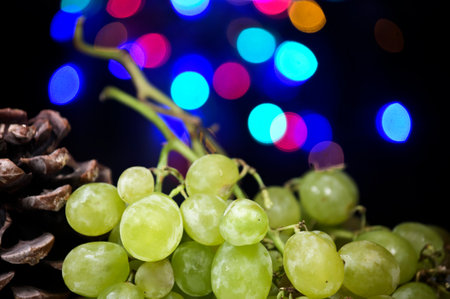 Grape season with Christmas lights for the end of the year.の写真素材