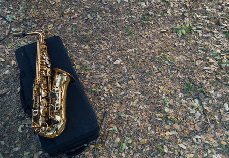 A high angle shot of a saxophone on its case on the ground outdoorsの写真素材