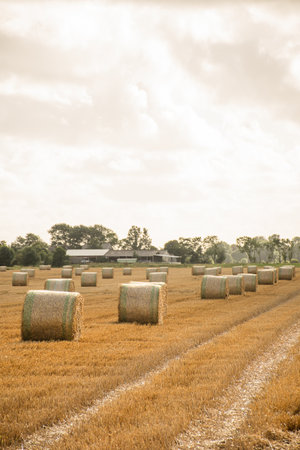 a peaceful life in the country.