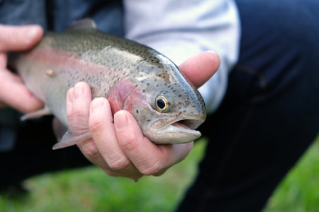 A fish in the hands of a fisherman