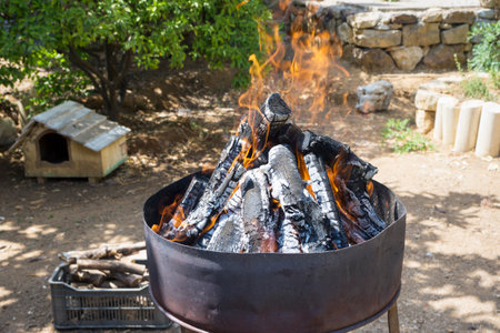 A bonfire in a metallic bowl outside on a sunny day