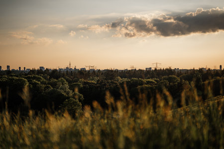 A grassy meadow next to forest trees with industrial buildings in the distance at sunriseの写真素材