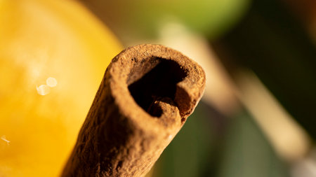 A macro shot of a cinnamon stick in a glass of refreshing drinkの写真素材