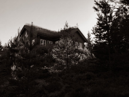 A close up shot of a beautiful trees in a park and a big modern farm houseの写真素材