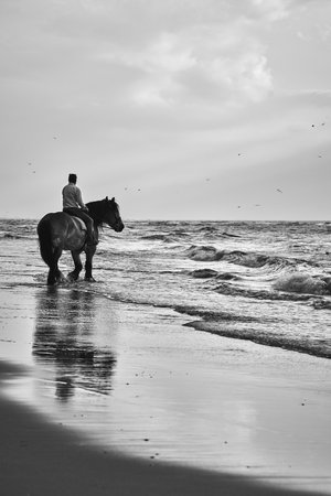 A vertical grayscale of a male sitting on a horse at the beach.の写真素材