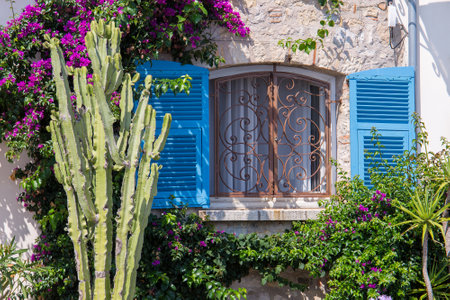 Colorful window with cute plants in Antibesの写真素材