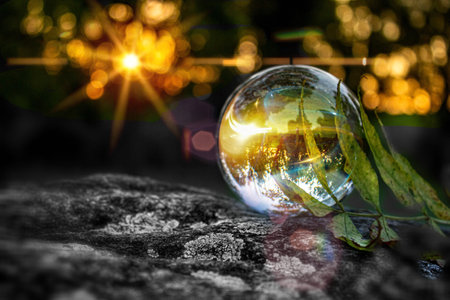 A closeup shot of a glass ball with a leaf on a mossy stone on the sunset lights backgroundの写真素材
