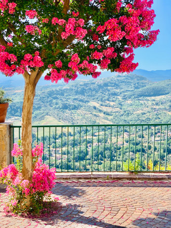 A beautiful blooming crape myrtle tree in a parkの写真素材