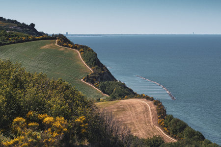 The cliff of the san Bartolo park overlooking the sea with mountain bike trailsの写真素材