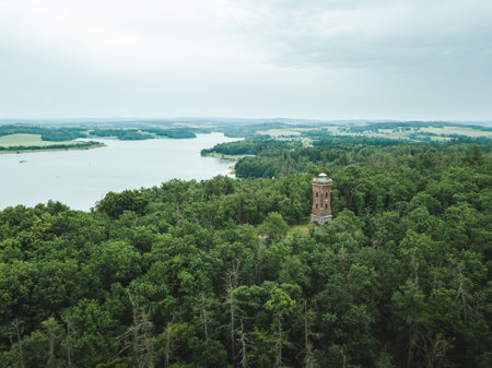 Scenic tower in the middle of a green forest.の写真素材