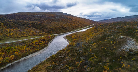 Aerial drone view of a river, in middle of fells and autumn color foliage forest, cloudy, fall day, in Finnmark, Nordland, Norwayの写真素材
