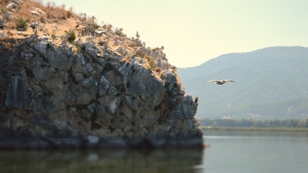 A beautiful view of nature  with mountain and a bird flying over water.の写真素材