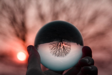 Reflections of a tree in a lensball during sunset.の写真素材