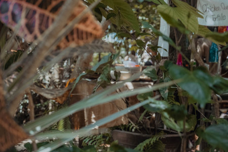 A closeup of potted plants in a park under the sunlight with a blurry backgroundの写真素材