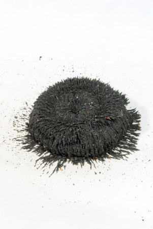 Circular magnet with iron particles