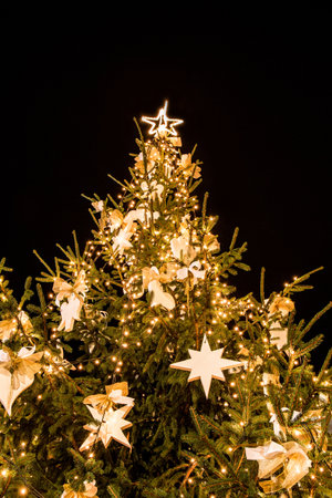 A vertical low angle shot of an illuminated decorated Christmas tree
