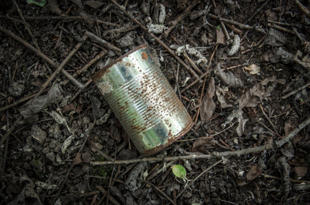 A rusting steel can on forest groundの写真素材