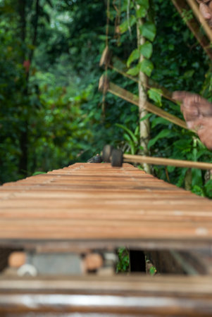 National instrument of Guatemala made with Hormigo wood the marimba keyboard in central america.の写真素材