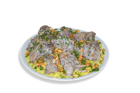 Mansaf, a traditional Arab dish made of lamb cooked in a sauce of fermented dried yogurt and served with rice or bulgur.の写真素材