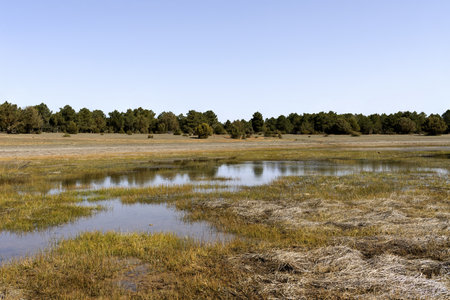 Partial view of the rubiales lagoon, rubiales water pool, in spring, rapid desertification process in spainの写真素材