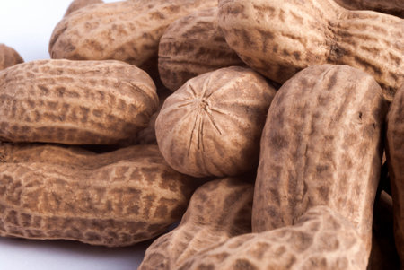 Dried peanuts in closeup. Arachis hypogaea in Guatemala. Central america.