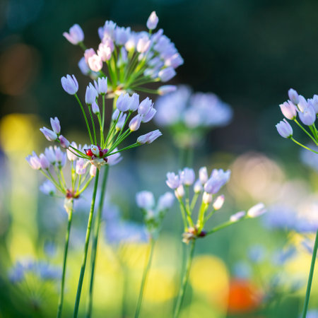 A beautiful shot of light blue flowers in a botanical garden