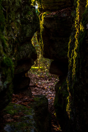 The rocks covered with mossの写真素材