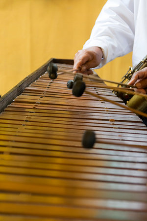 National instrument of Guatemala made with Hormigo wood the marimba keyboard in central america.の写真素材