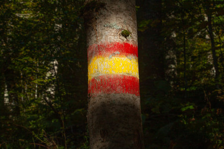 The mountain trail marks on woodの写真素材