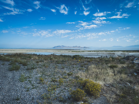 A natural view rocky shore during low tide under a blue skyの写真素材