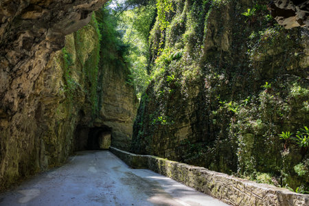 A beautiful view of a Strada Della Forra in Italy on a sunny dayの写真素材