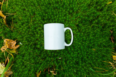 the cup in the grassの写真素材